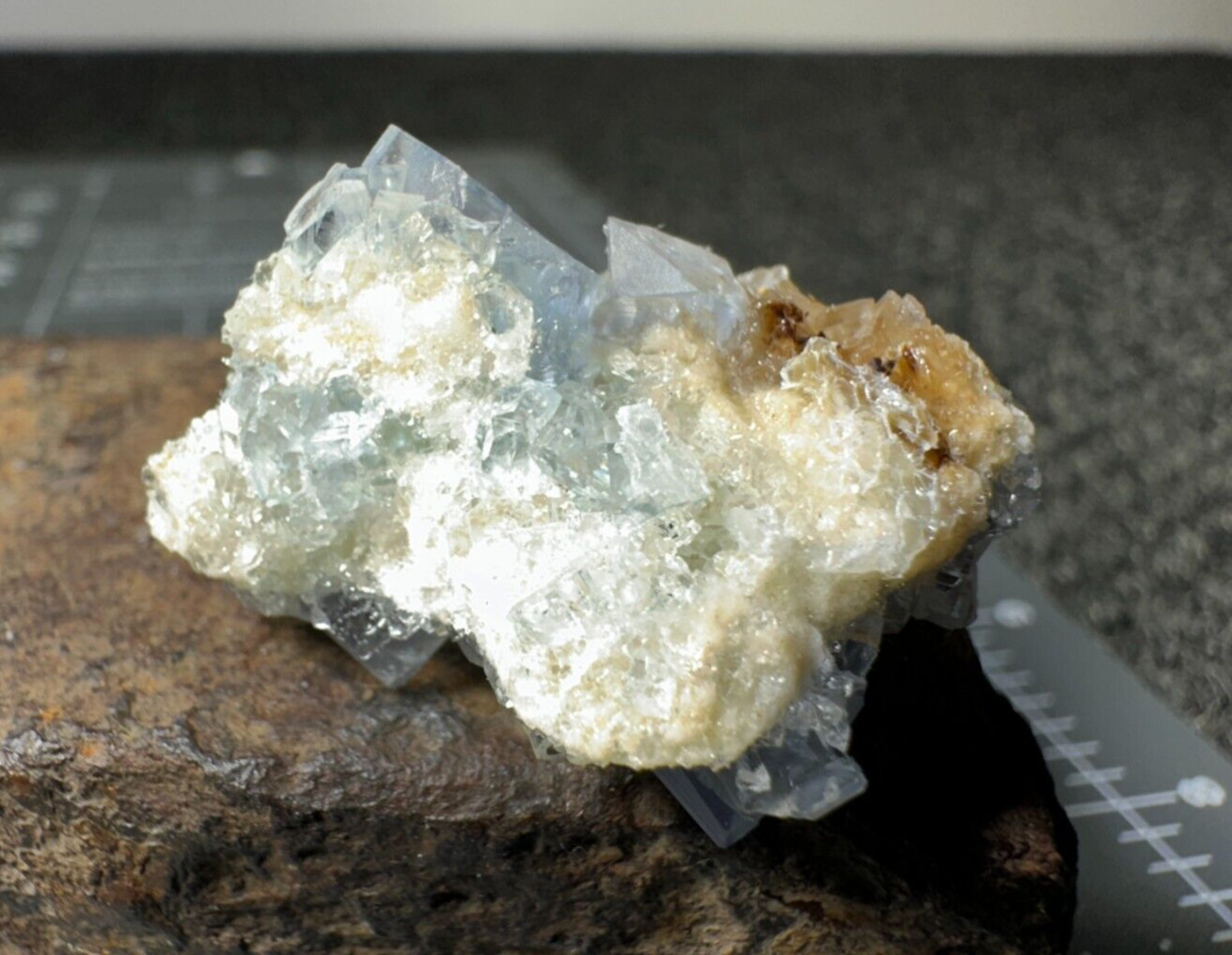 ➤ Thumbnail 1-3/8 Inch Blue FLUORITE CLUSTER Blanchard Mine New Mexico VIDEO➤405