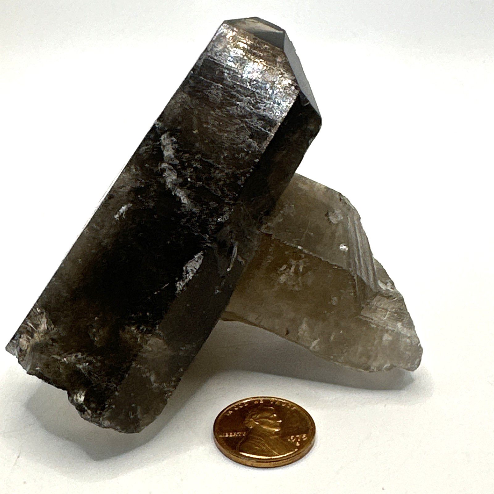 AMAZING Smokey Black Quartz Crystal Cluster Specimen 242 Grams