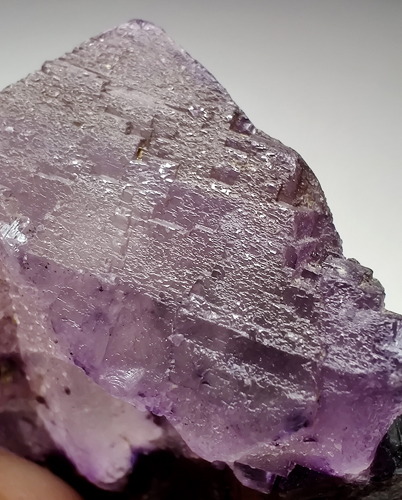 Fluorite on Sphalerite, fluorescent. Elmwood Mine, Tennesee. 87 grams.