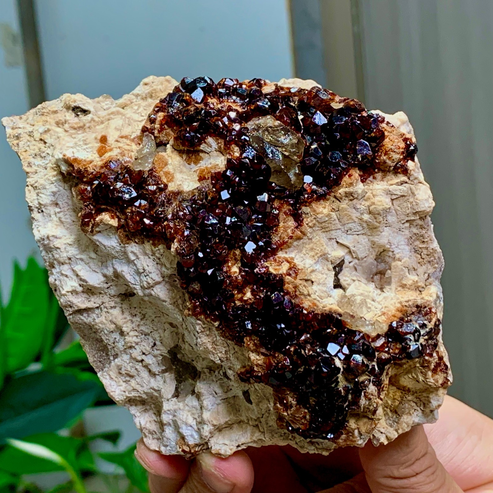 1.92LB Natural Garnet with smokey quartz cluster Crystal Mineral Specimen