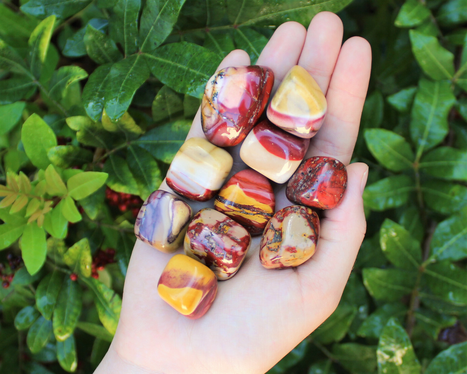 1/2 lb Mookaite Jasper Tumbled Stones (Crystal Healing Tumble Mookite Chakra)