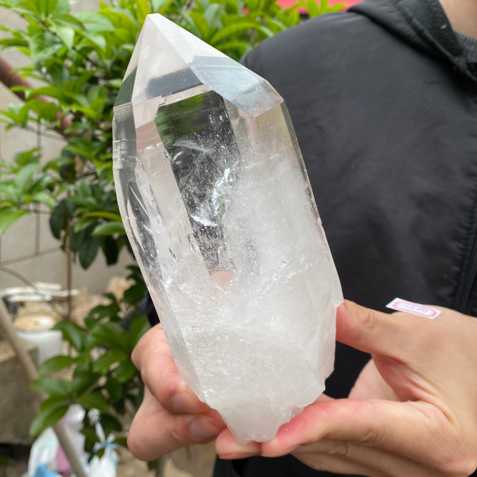 2.3lb Raw Natural Clear White Quartz Crystal Rough Healing Specimen