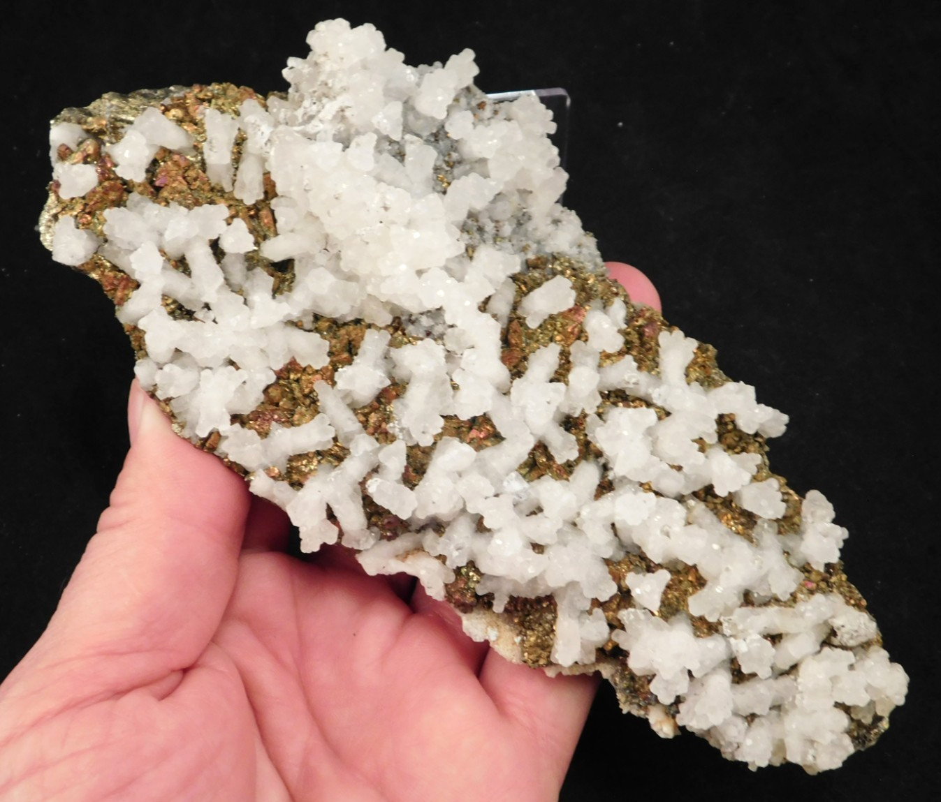 Big! MARCASITE Crystal Cluster with Fluorescent Calcite Crystals Mexico 538gr