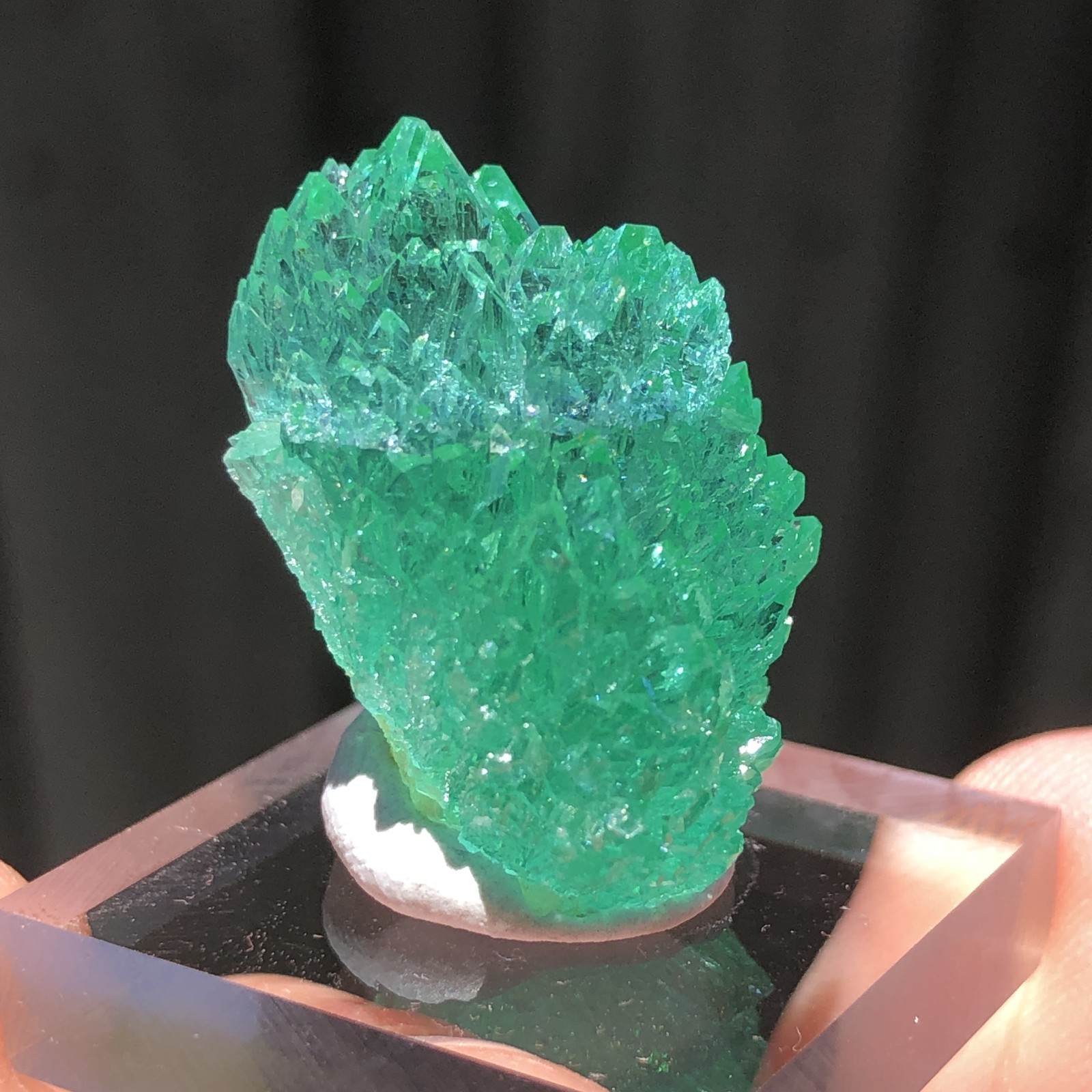 2.4cm Emerald Green Apophyllite Crystals with Stilbite from Madhya Pradesh, Indi
