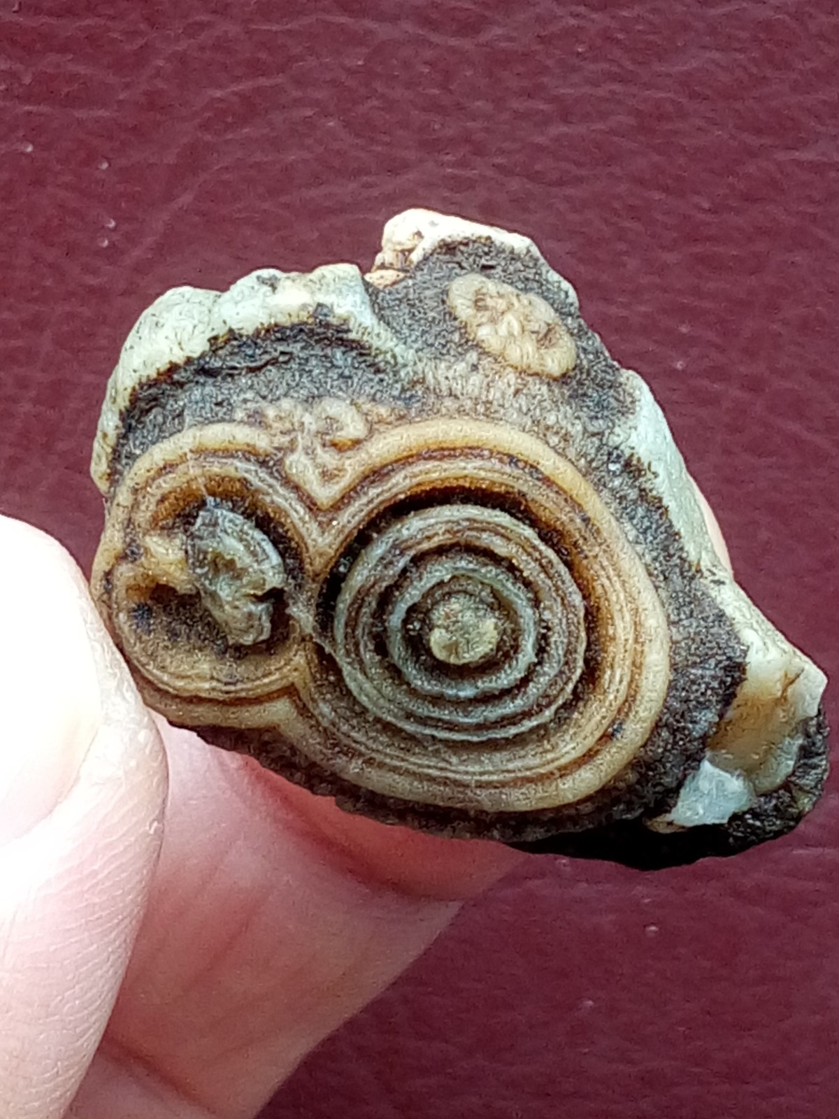 34mm Natural agate Gobi agate eye agate cute collection