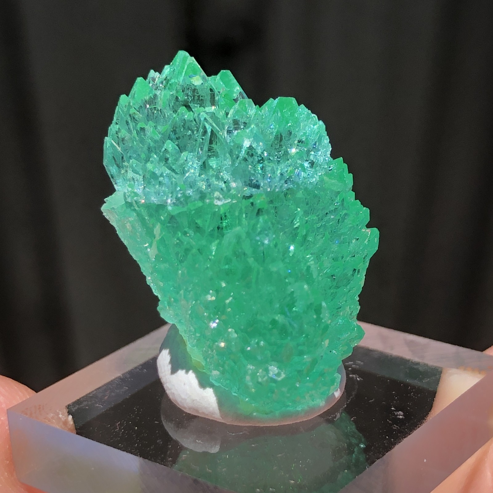 2.4cm Emerald Green Apophyllite Crystals with Stilbite from Madhya Pradesh, Indi