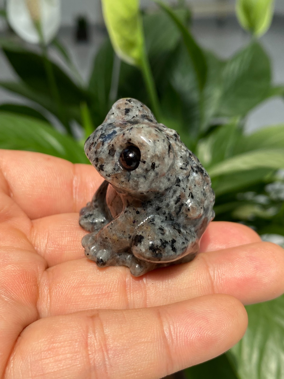1pc Natural Yooperlite Quartz Carved Crystal Frog skull reiki healing gift Decor