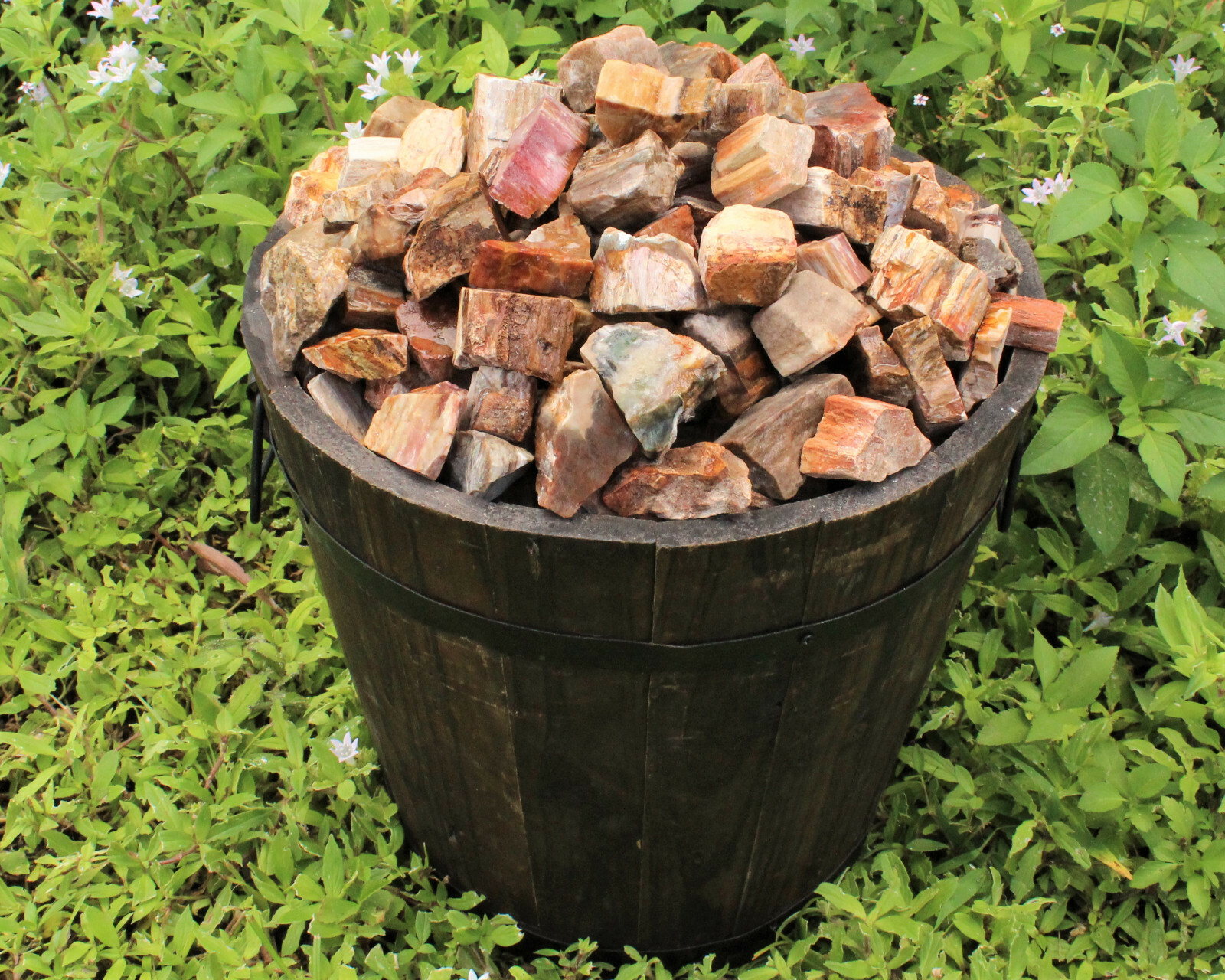 1/4 lb Petrified Wood Rough Natural Stones Bulk Wholesale Raw 4 oz