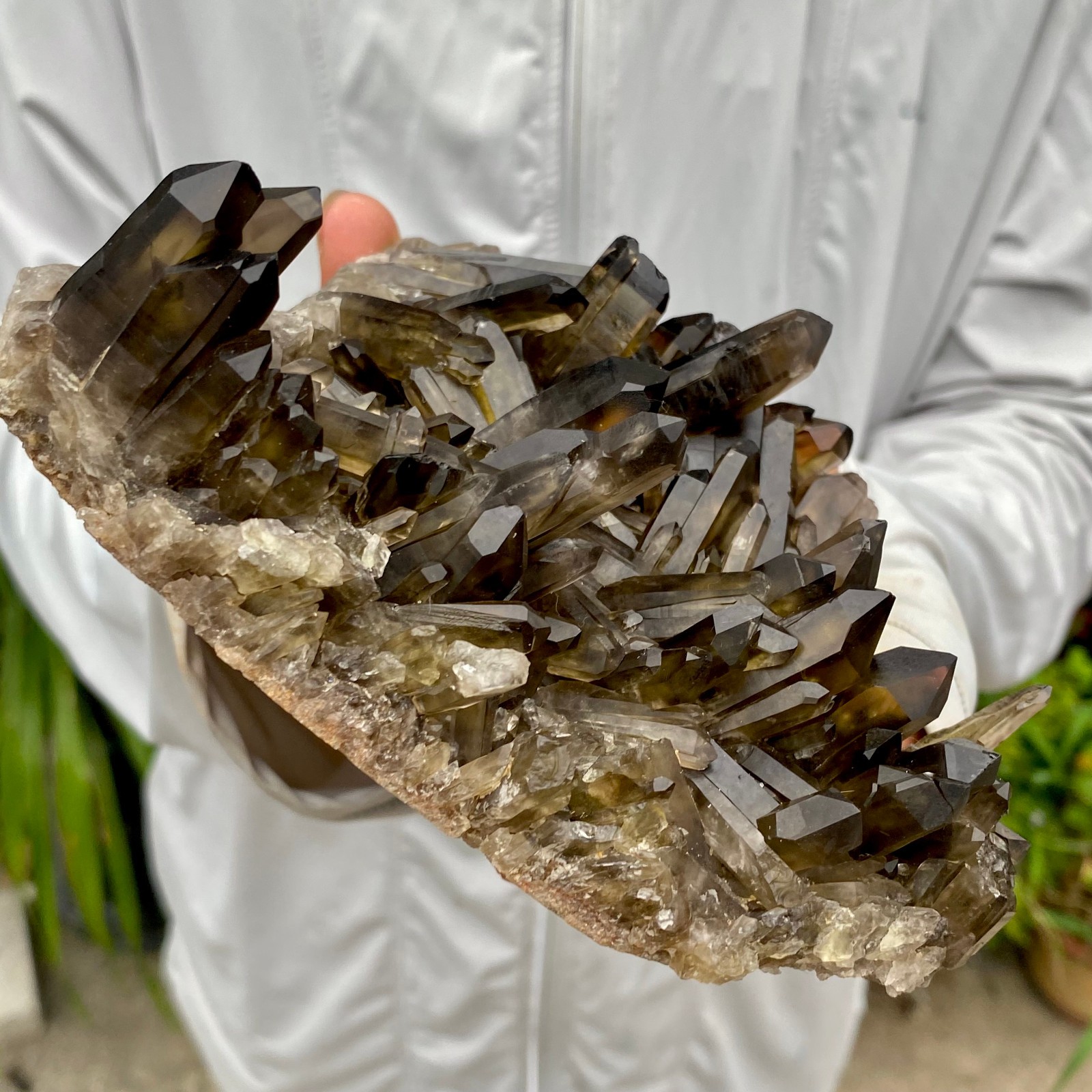 1.97LB Natural Black Smoky Quartz Crystal Cluster Raw Mineral Specimen
