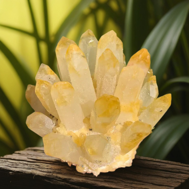 400g+ Natural Raw Citrine Point Phantom Geode Cluster Mineral Specimen Ornaments
