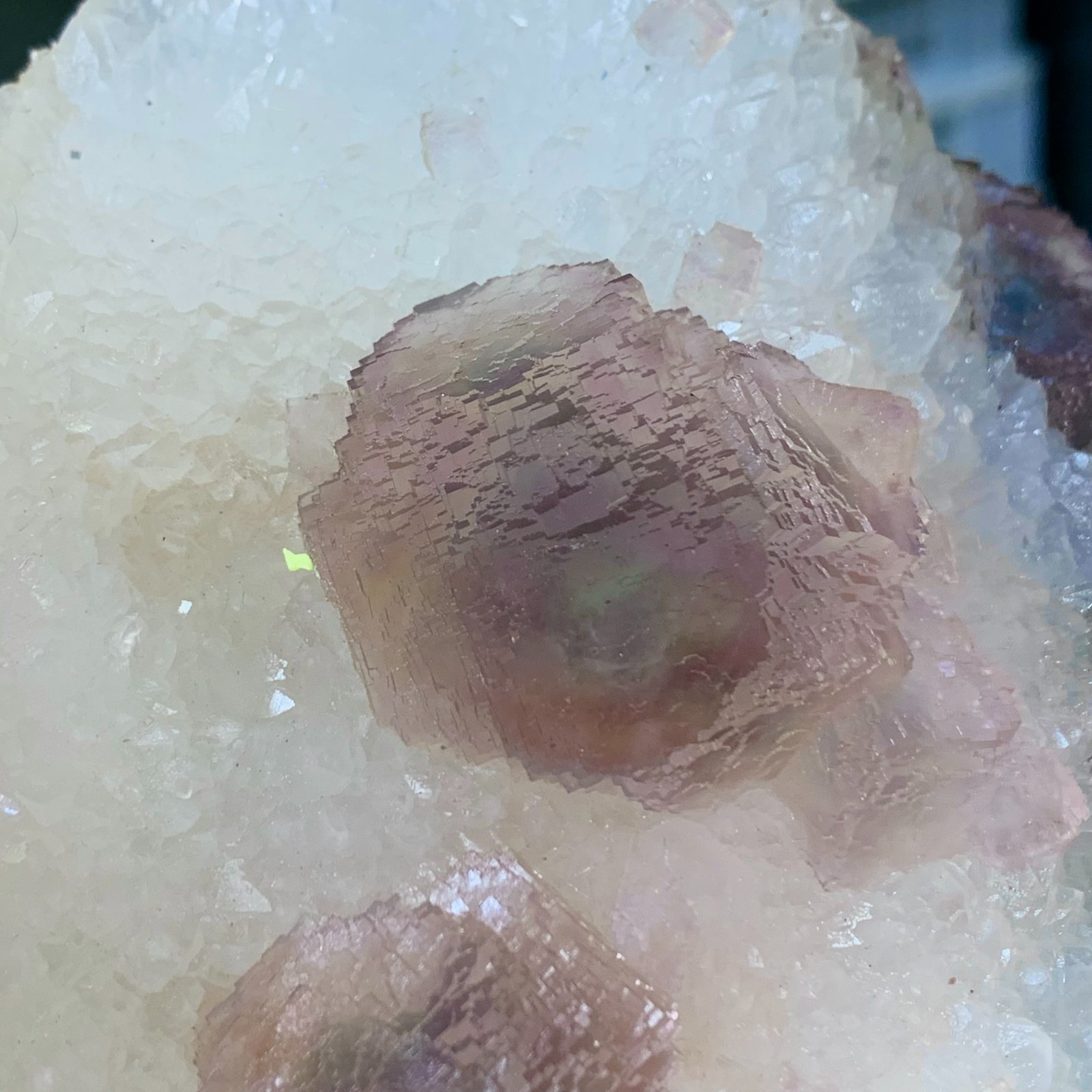 5.96LB Natural Bubble fluorite Purple cubic mineral crystal sample/Zhejiang