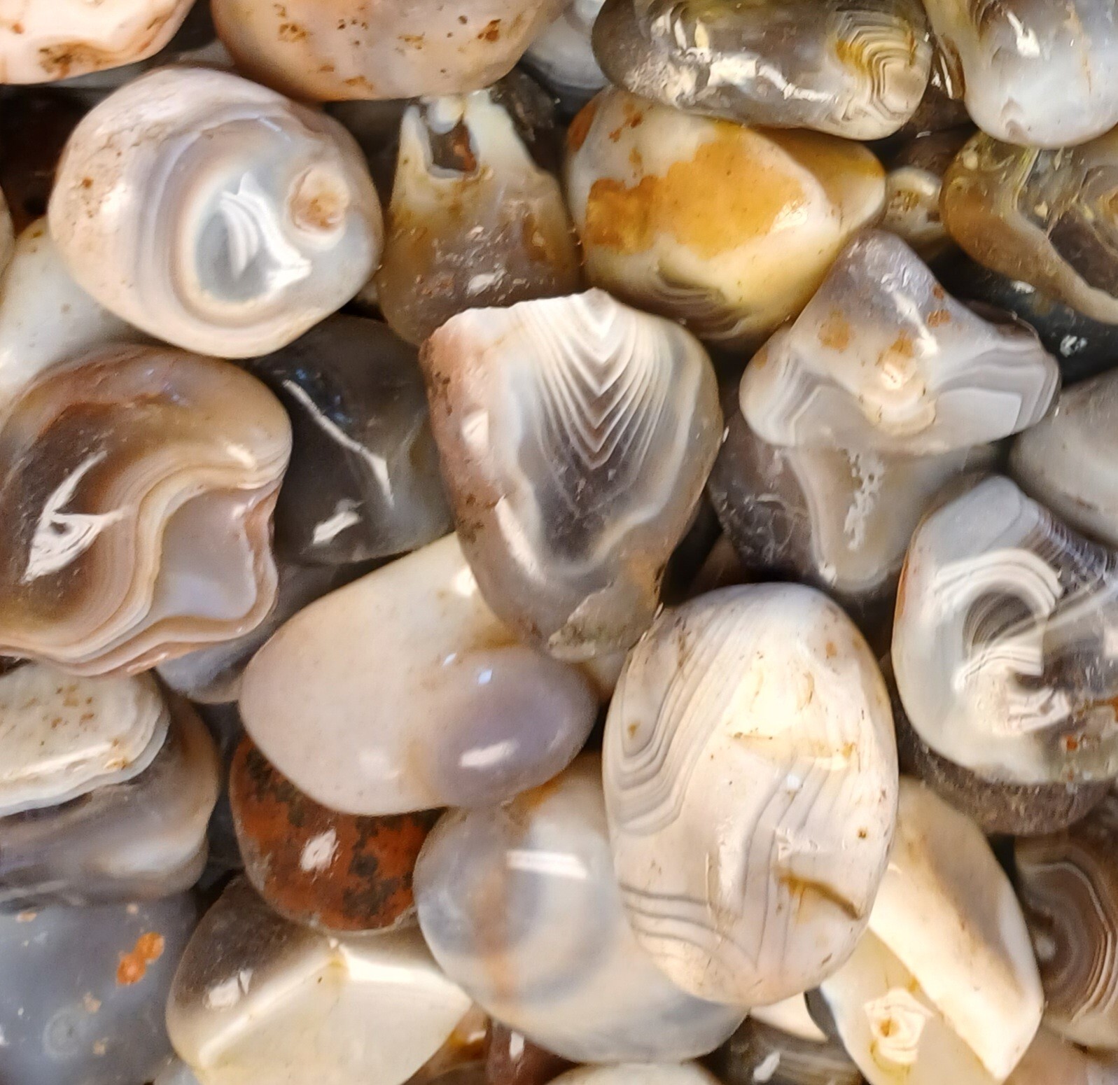 Botswana Agate rough 1-2″ A+ pound lbs tumbling lapidary banding wholesale bulk