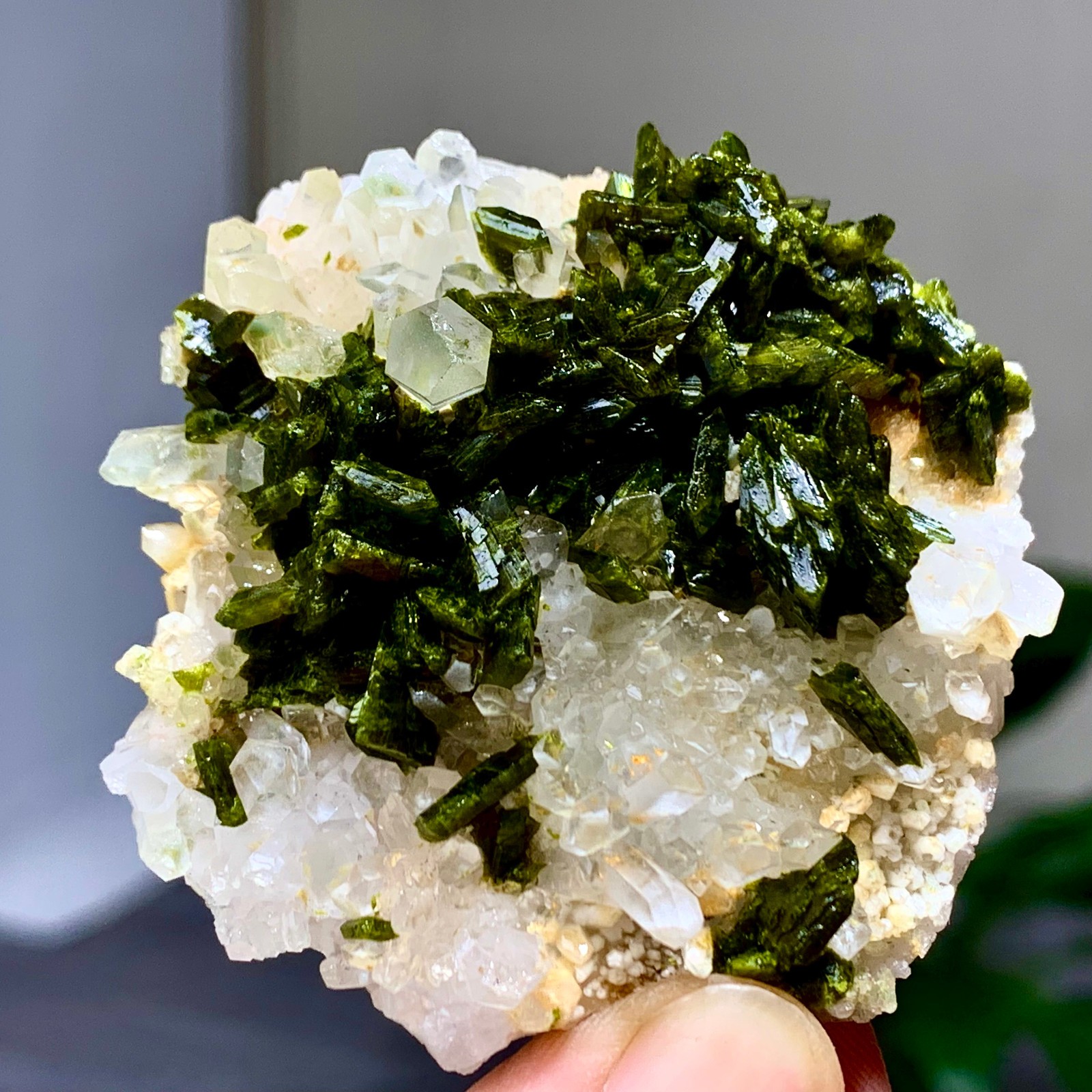 46g Natural Garden quartz cluster specimen tourmaline mineral healing SiChuan