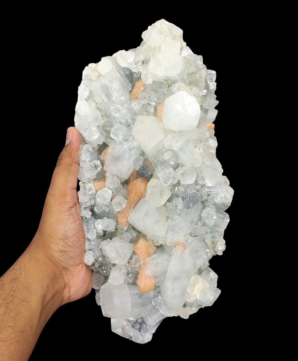 Big Natural Orange Bow Tie Stilbite & Shiny Apophyllite Minerals #Zeolite- 634