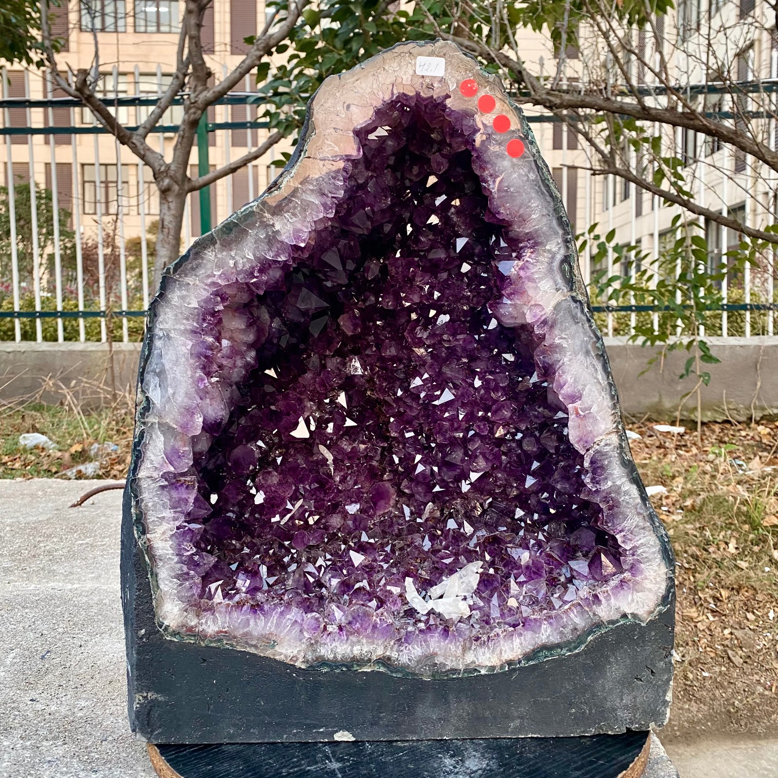 92.8LB Natural Amethyst Geode Quartz Crystal Cluster Cathedral Energy healing