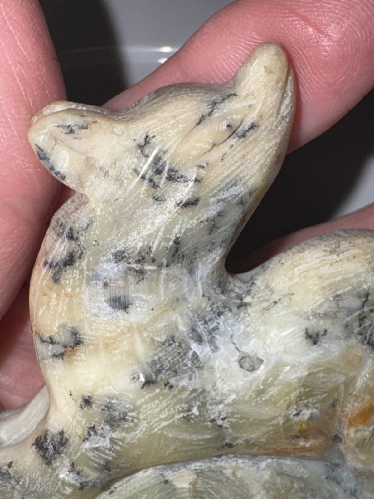 Dendritic Agate Nine Tail Fox. Some Points of The Tail Are Irregular See Photos
