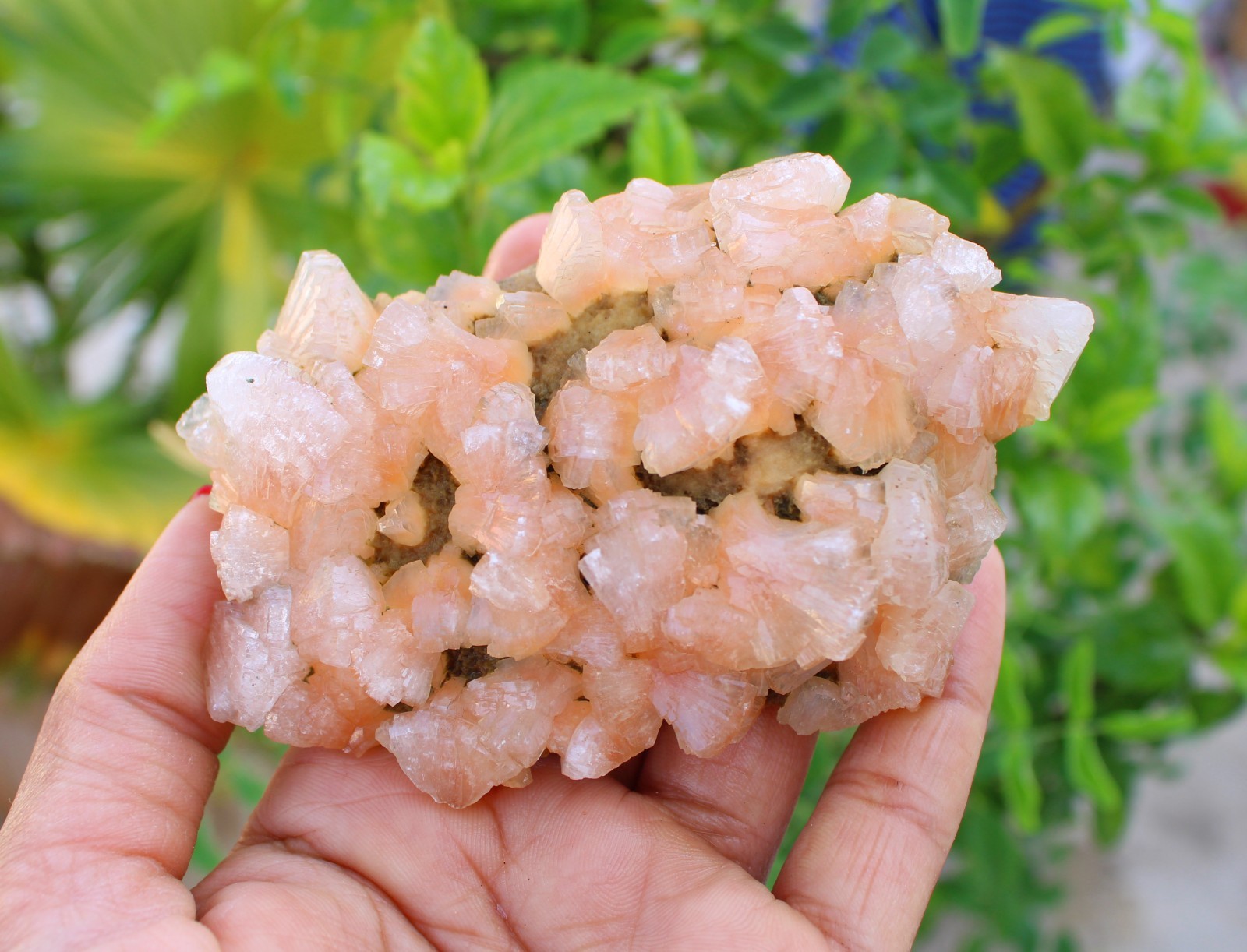 Orange Heulandite On Matrix Minerals Specimen #A46