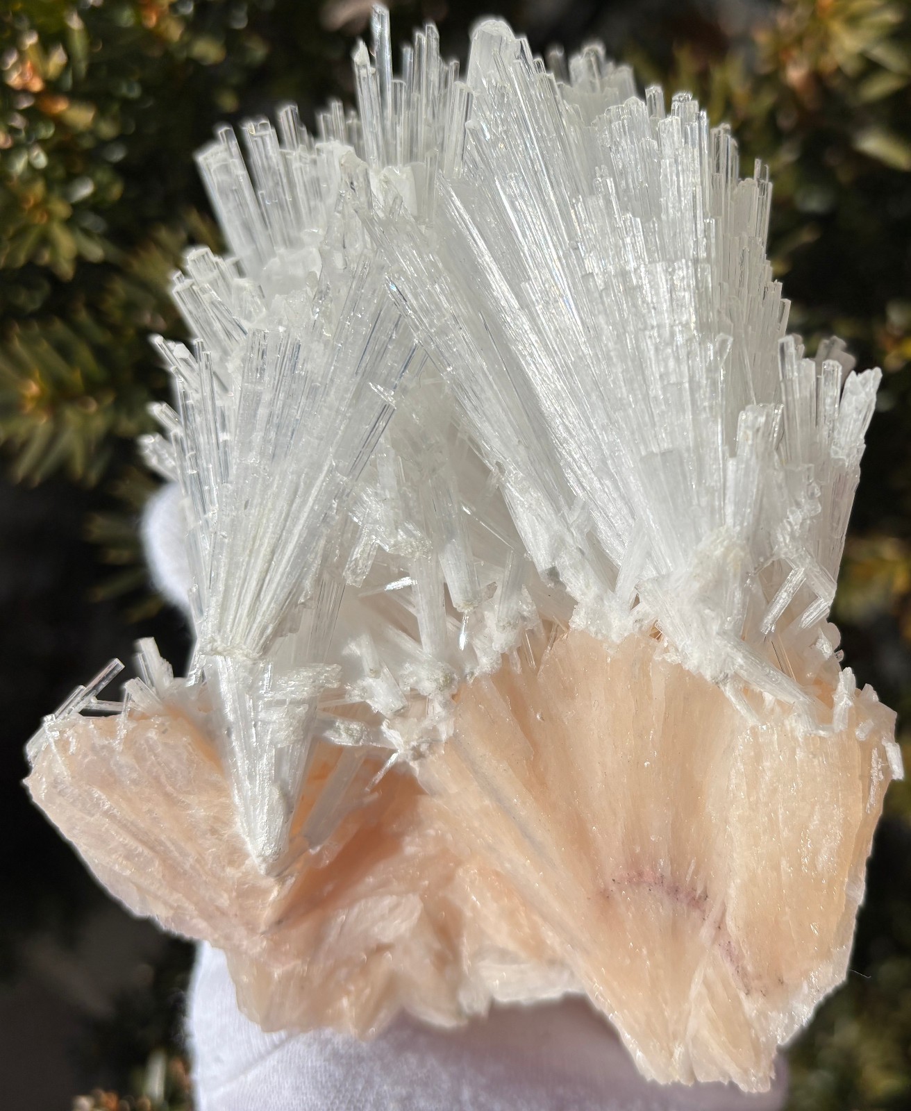 USA SALE 262g 4.3″ x 3.3″ LARGE SCOLECITE STILBITE SPECIMEN Fan/Blades/Spray