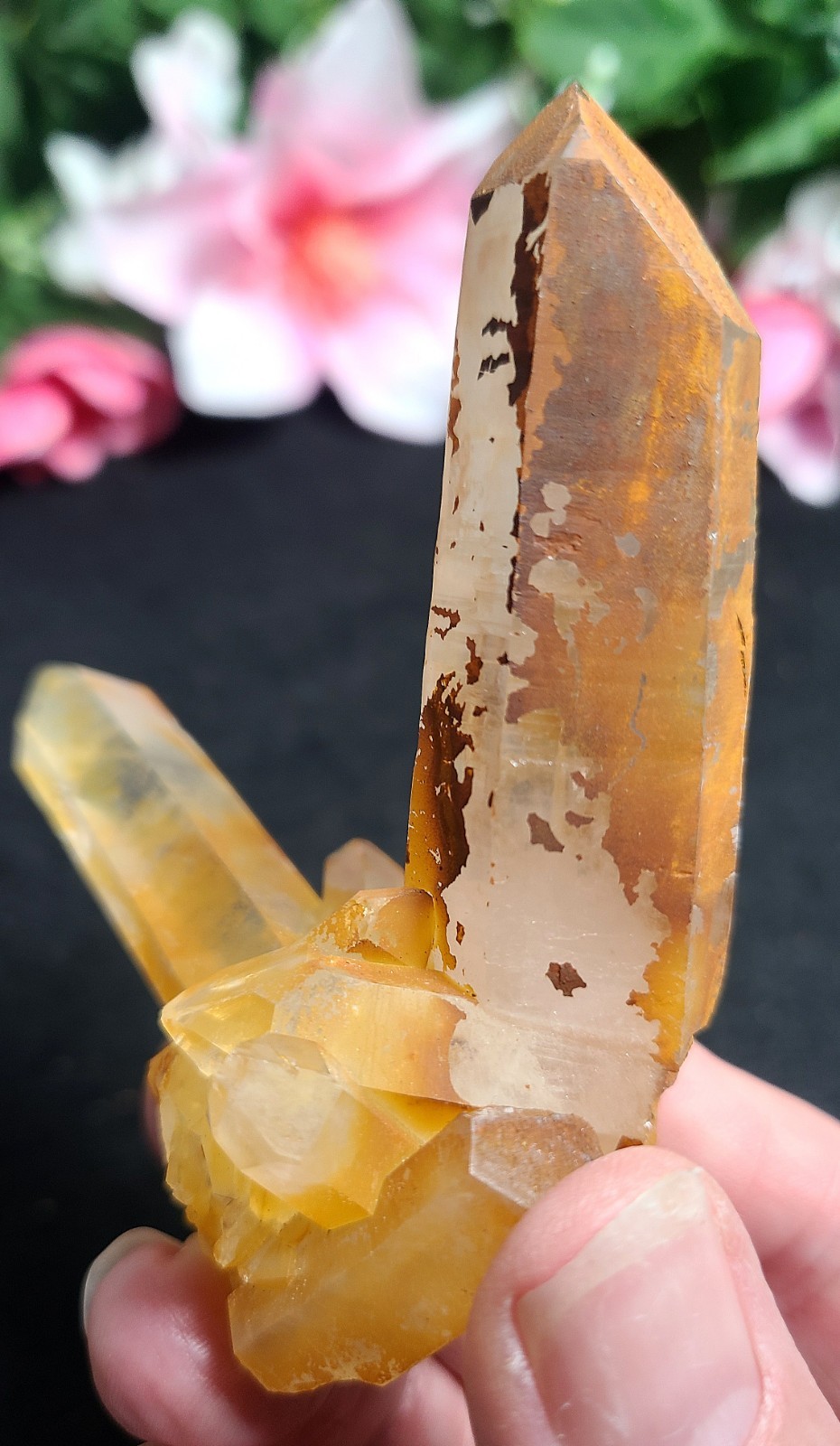 3.4″ 76g Pretty V Shape Golden Healer Quartz Crystal Cluster Stone Specimen