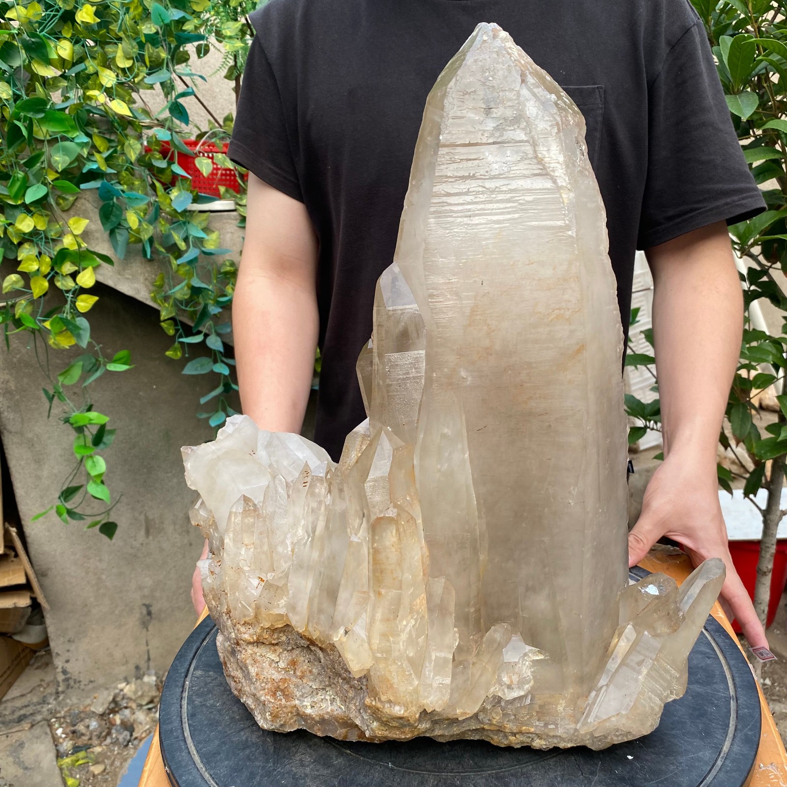 23900G A+Large Natural clear white Crystal Himalayan quartz cluster /mineralsls