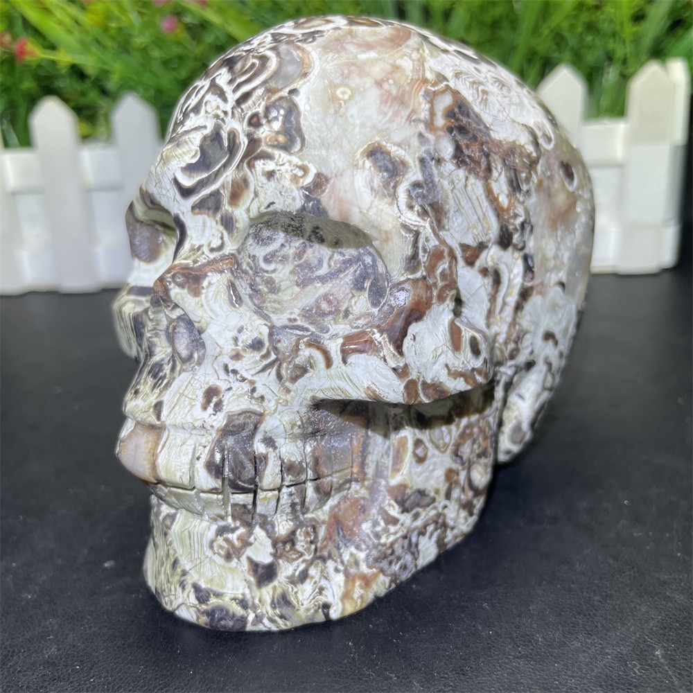 2.1LB 3.9″ Natural Money Agate Skull Crystal Quartz Carving Reiki Decoration