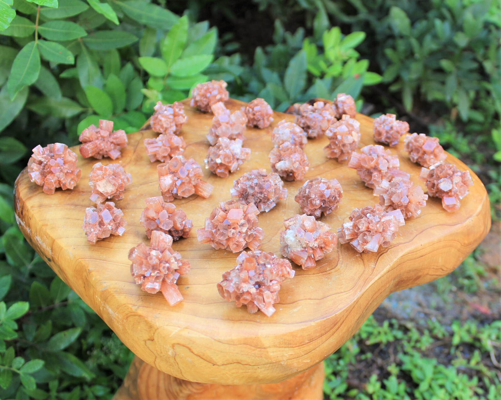 Mini Aragonite Cluster Box: 6 – 8 Pieces (Natural Aragonite Star Cluster)