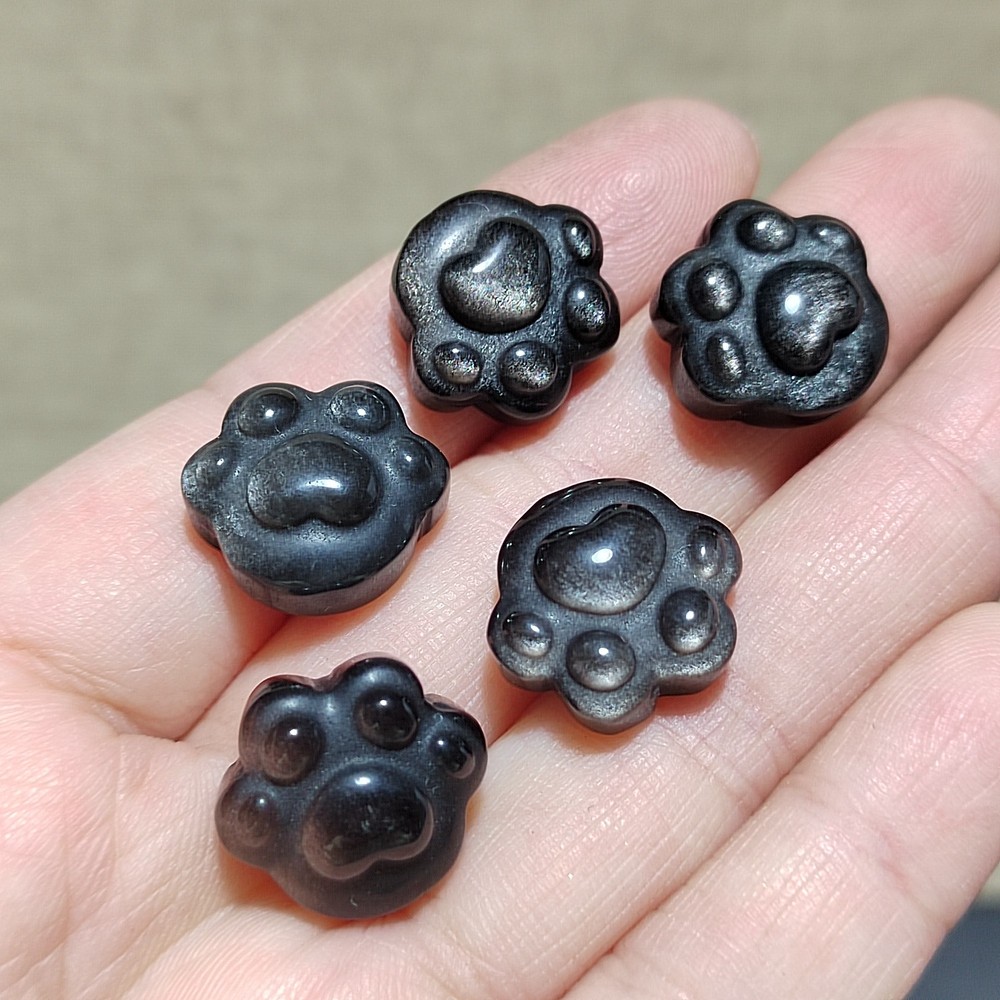 5pcs Natural Silver Obsidian Cat Claw Skull Carved Quartz Crystal Skull healing