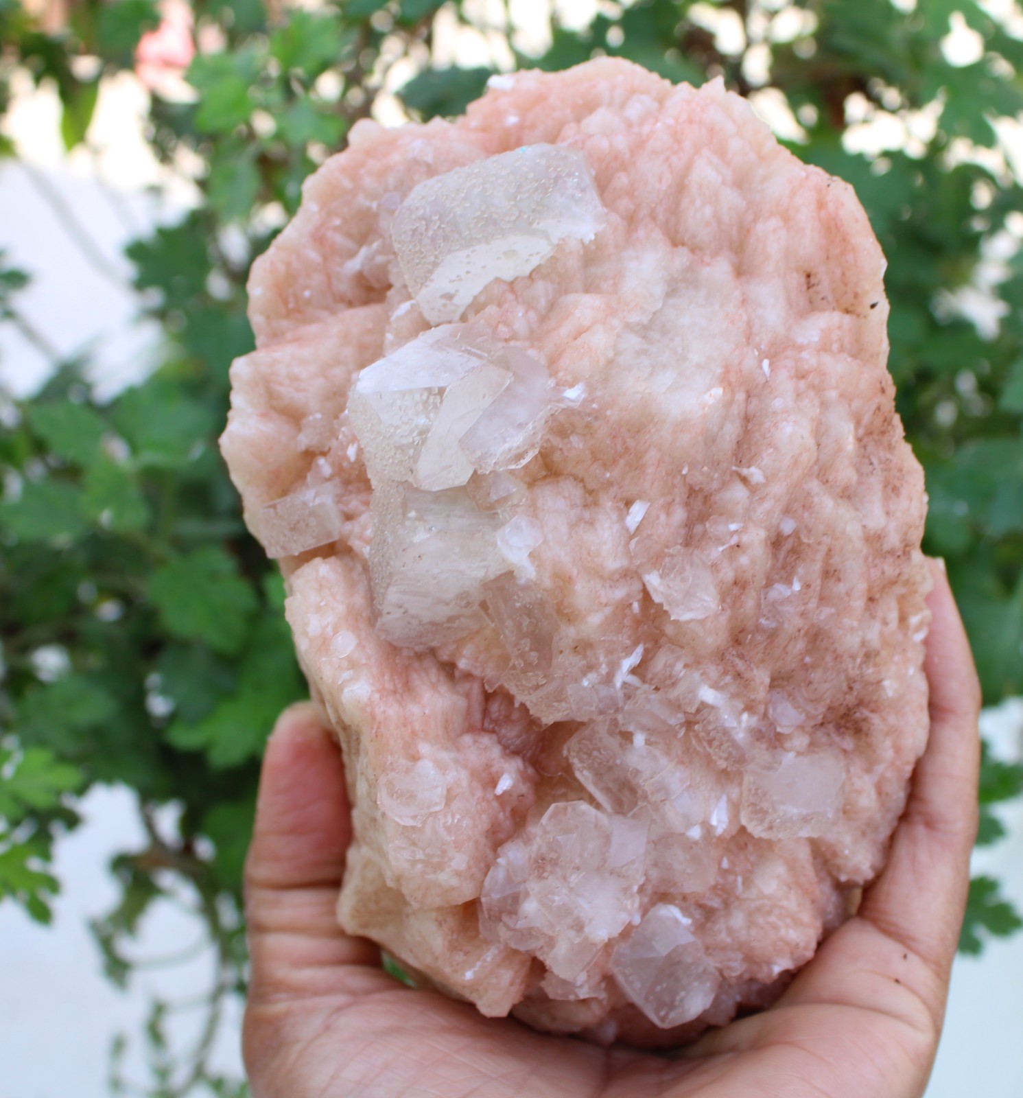 APOPHYLLITE CRYSTALS ON STILBITE NATURAL MINERALS SPECIMEN #A38