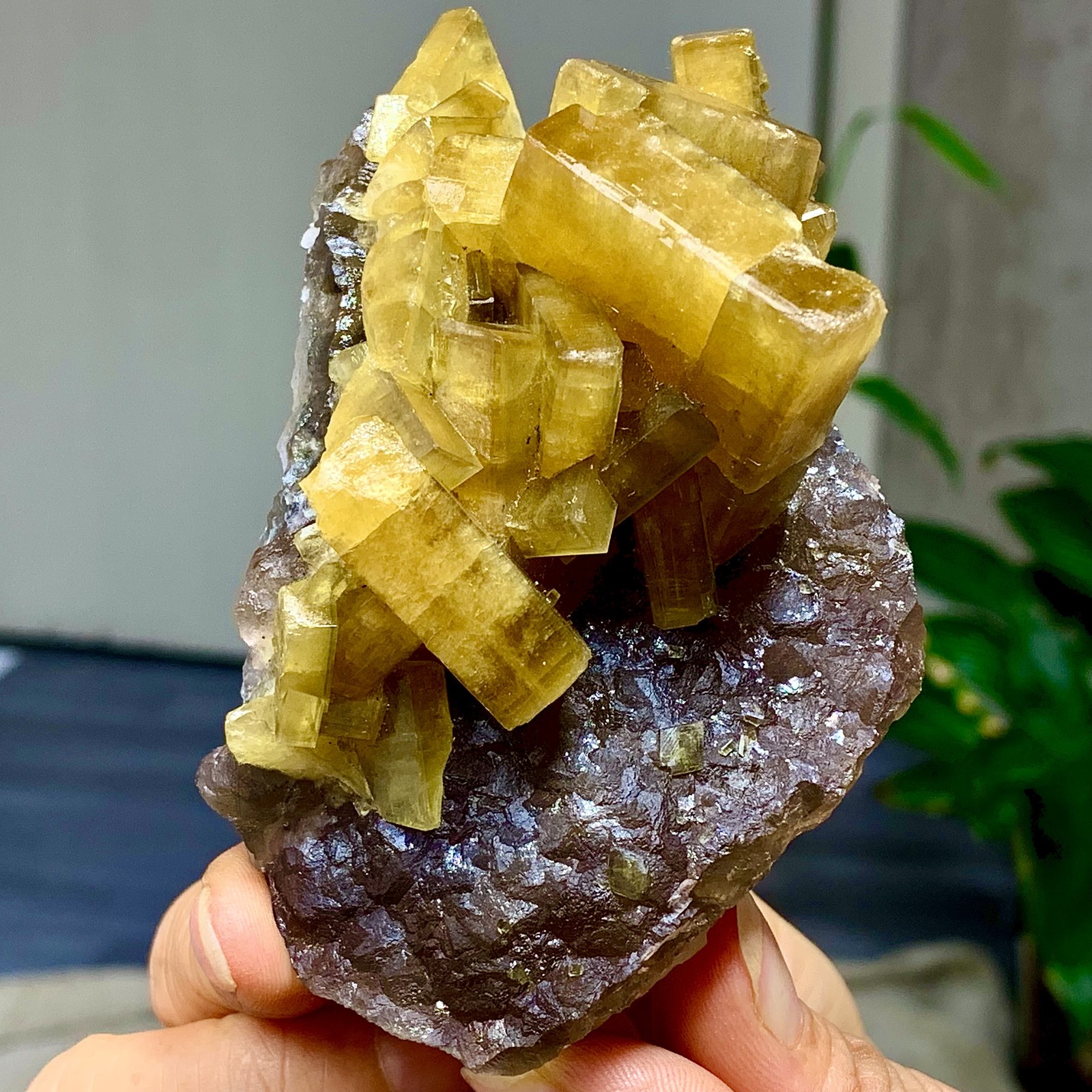338G Shiny Golden Cuboid Barite Crystal Based on the Purple Spherical Fluorite