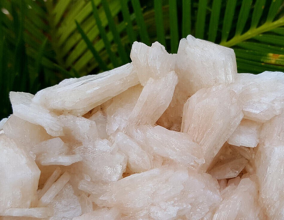 445g Big Spectacular 6 3/4 Inch World Class Stilbite Crystal Cluster – India