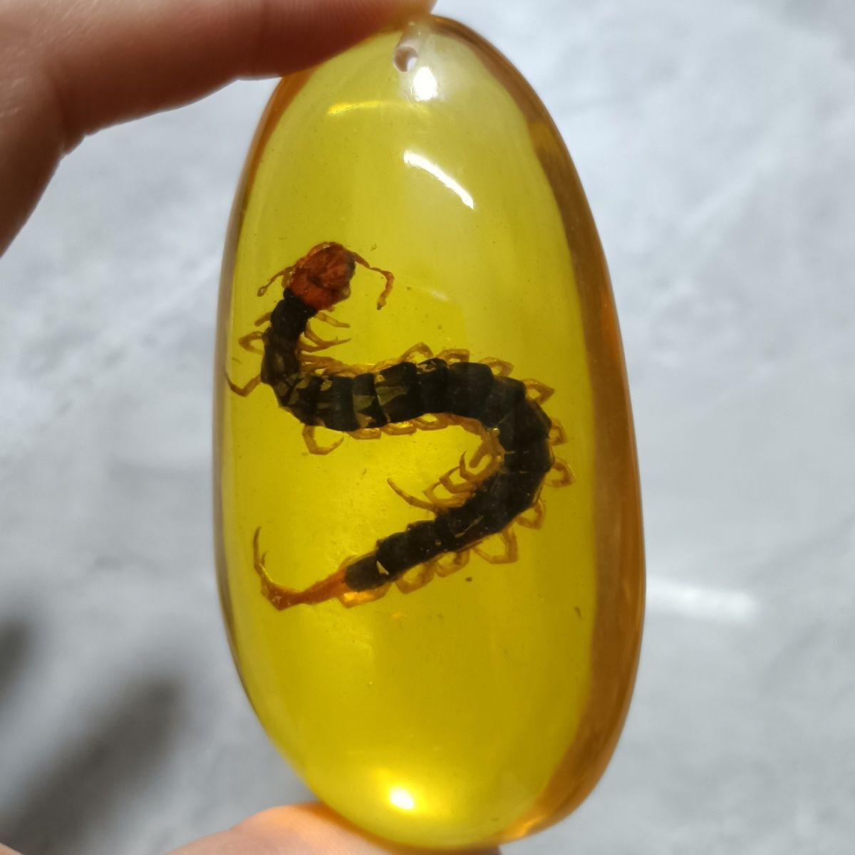 Insect Amber Pendant Centipede Long Sweater Necklace for Men Women Jewelry