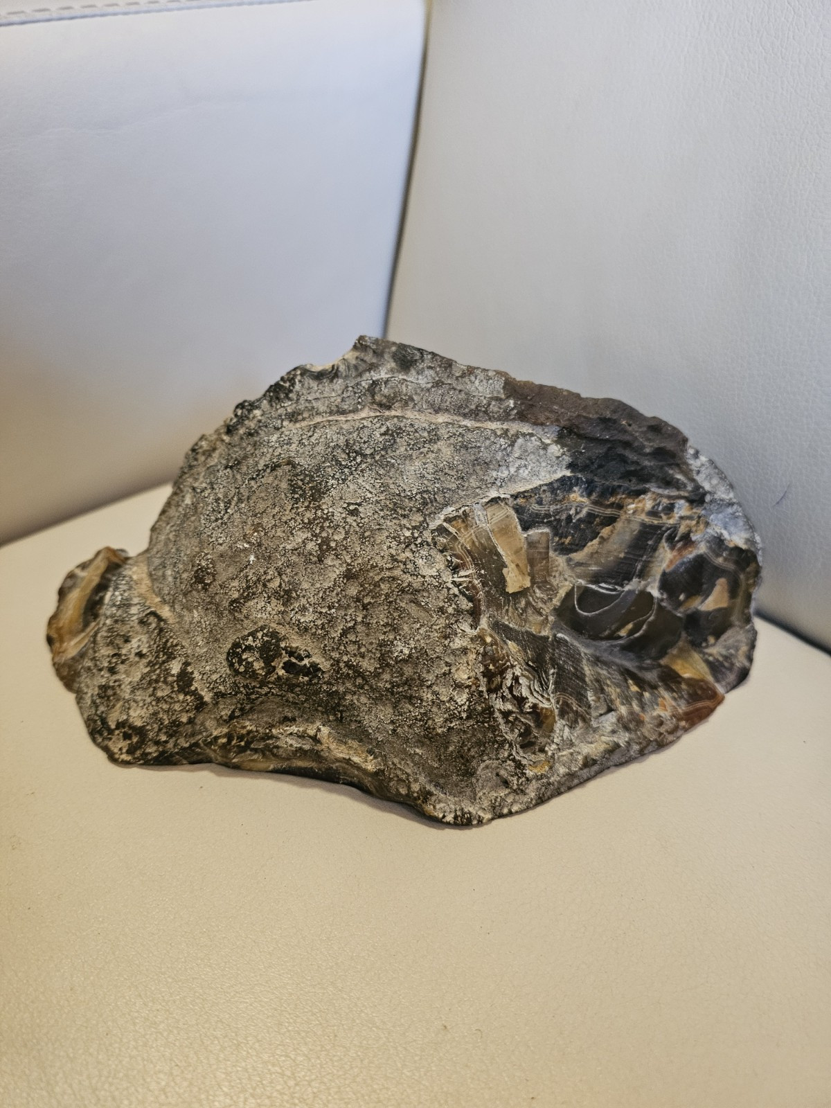 EXTRA LARGE BANDED AGATE POLISHED ON ONE SIDE 9.5″ WEIGHS 6LBS 8OZ