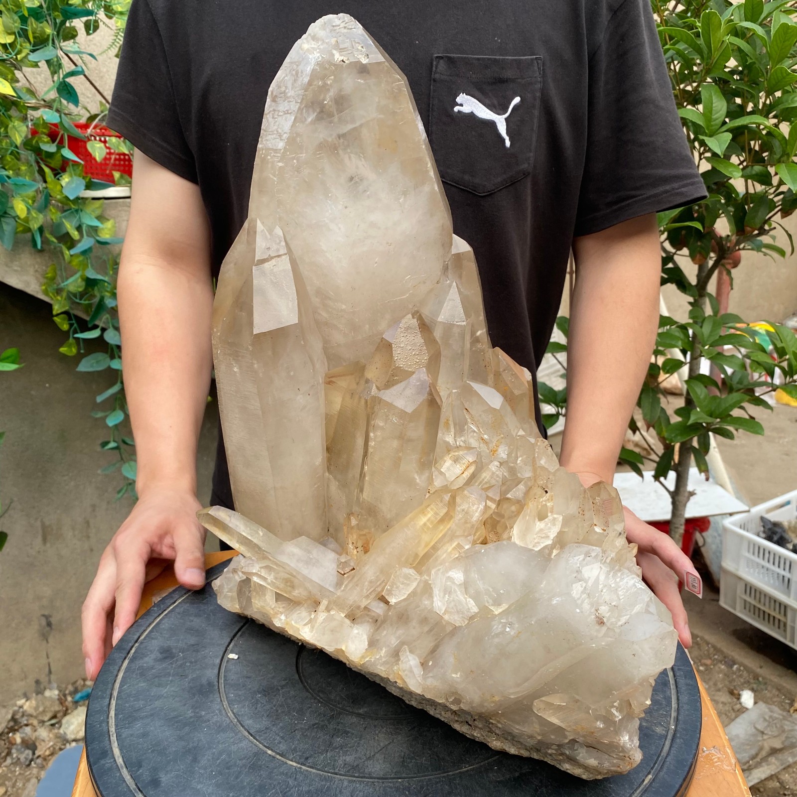 23900G A+Large Natural clear white Crystal Himalayan quartz cluster /mineralsls