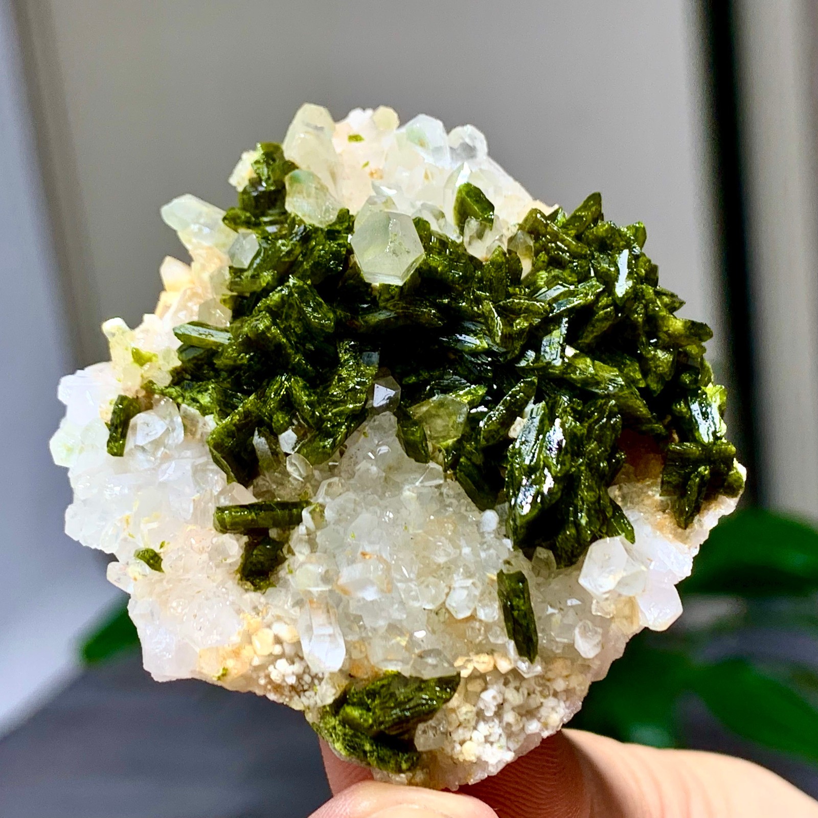 46g Natural Garden quartz cluster specimen tourmaline mineral healing SiChuan
