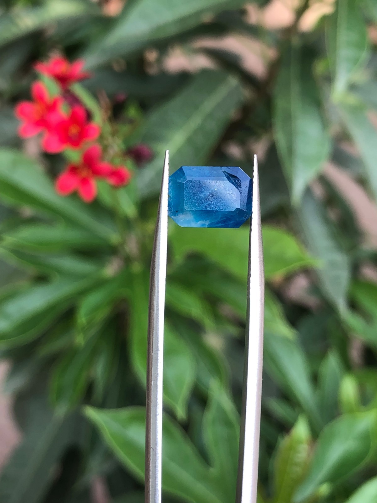 Natural Color Change Hackmanite Hayun 2.50 Ct Octagon Cut UV Fluorescent Gem