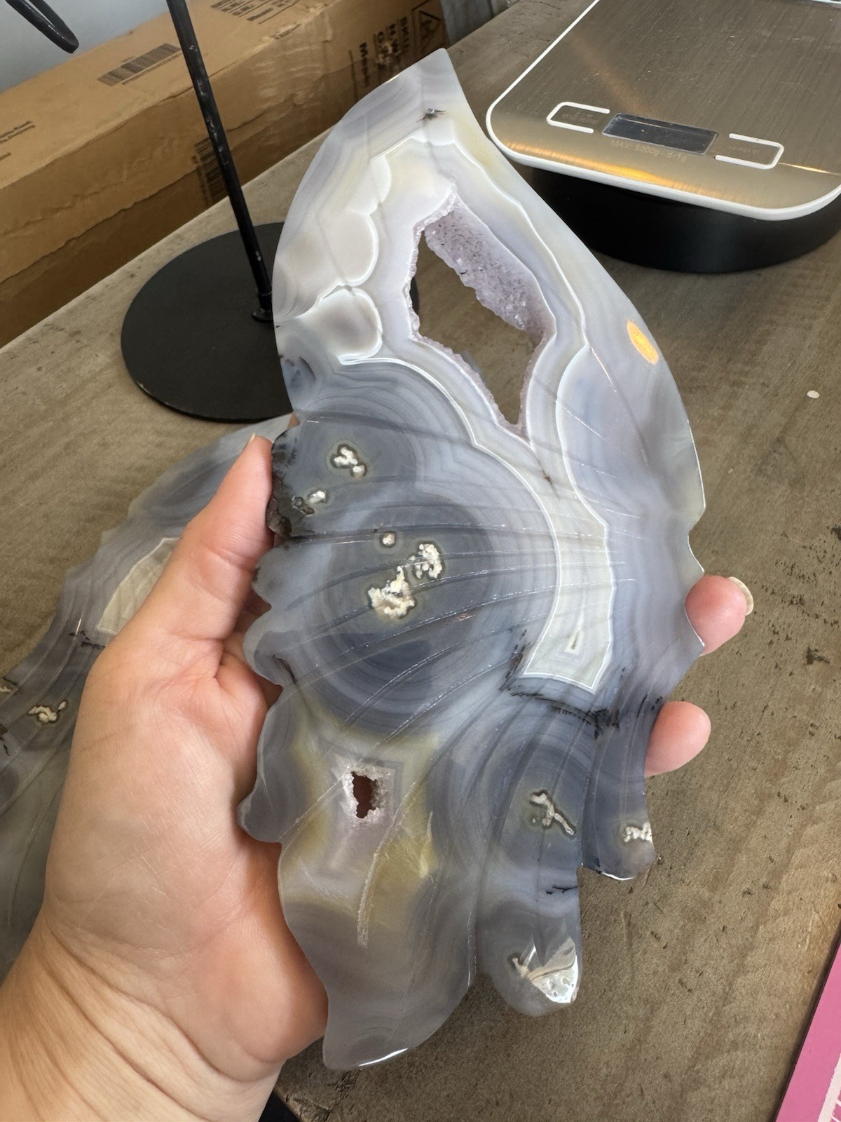 Blue Agate Druzy Butterfly Wings With Stand 1.92 lbs