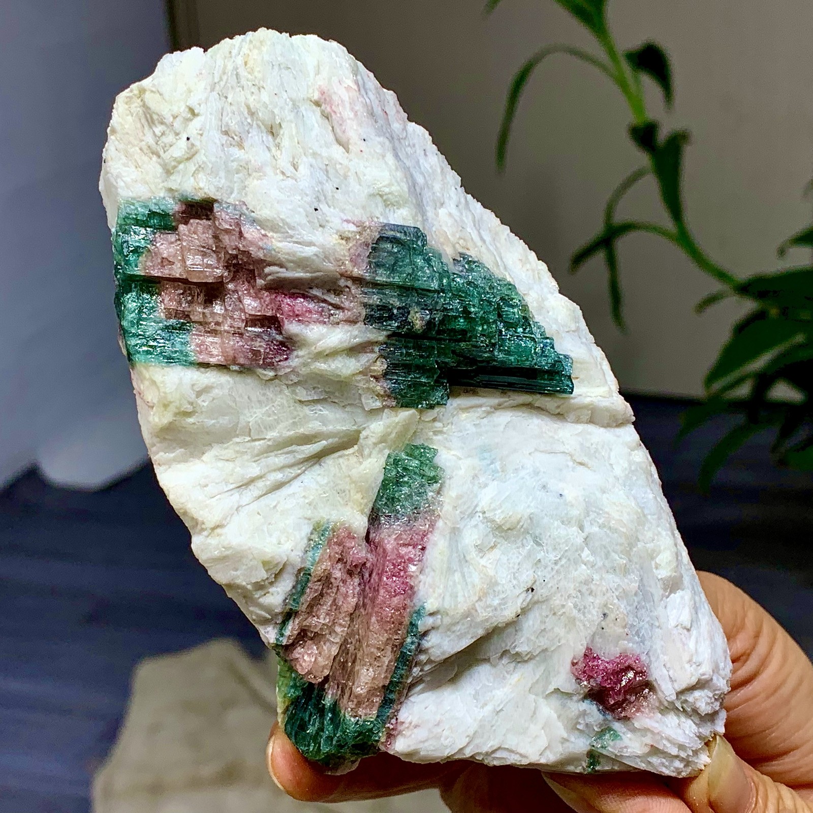 449G Natural pink-green tourmaline quartz crystal cluster mineral specimen
