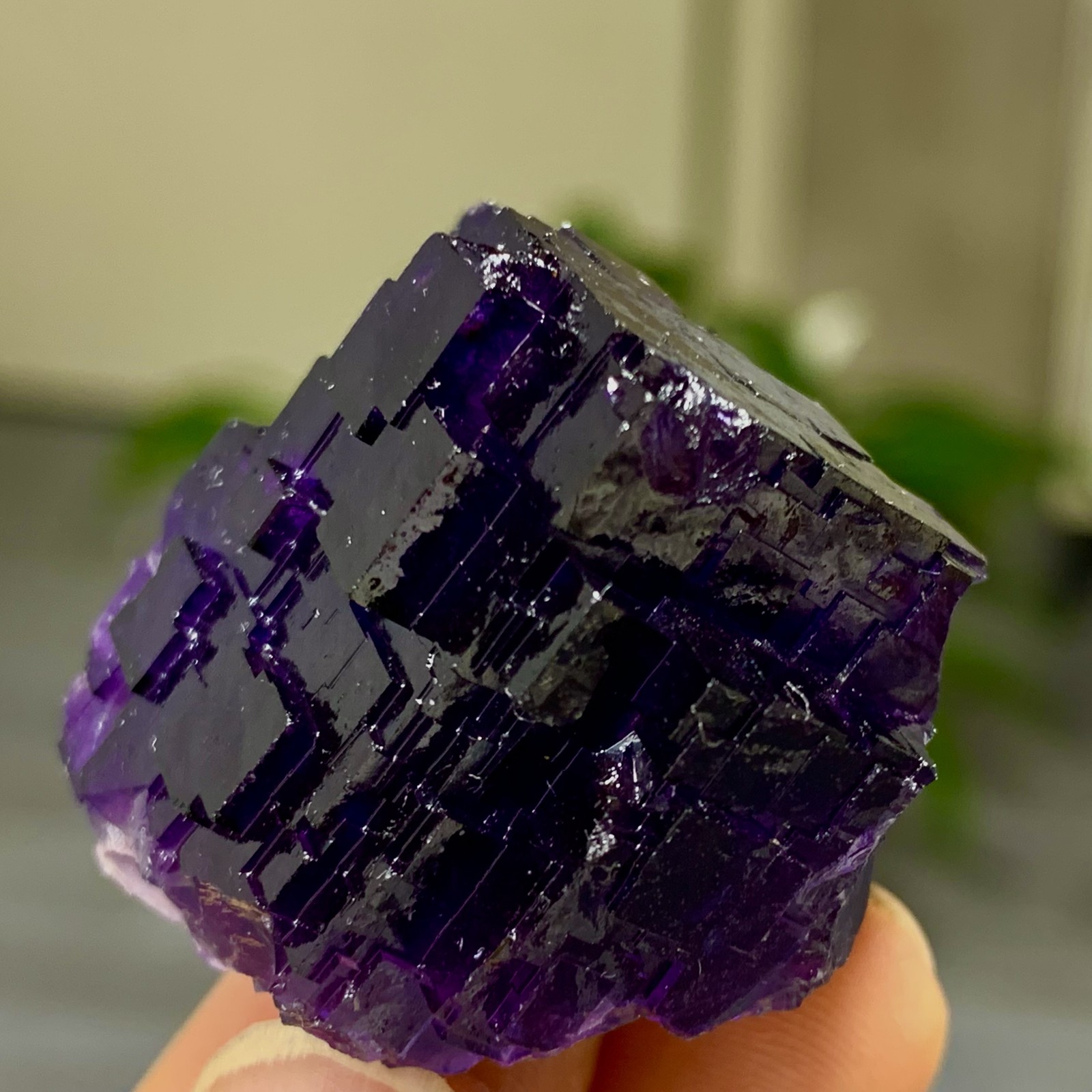 40G Natural purple framed cubic fluorite mineral specimen/Inner Mongolia