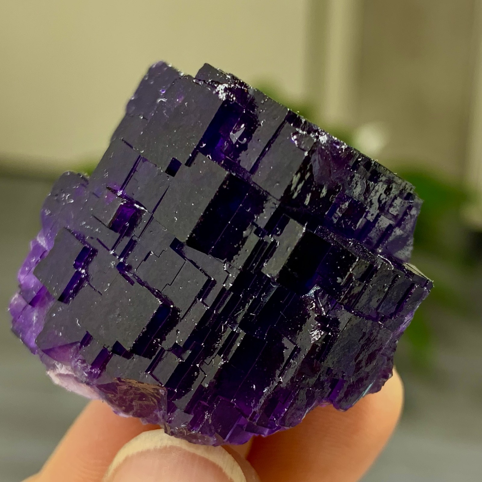 40G Natural purple framed cubic fluorite mineral specimen/Inner Mongolia