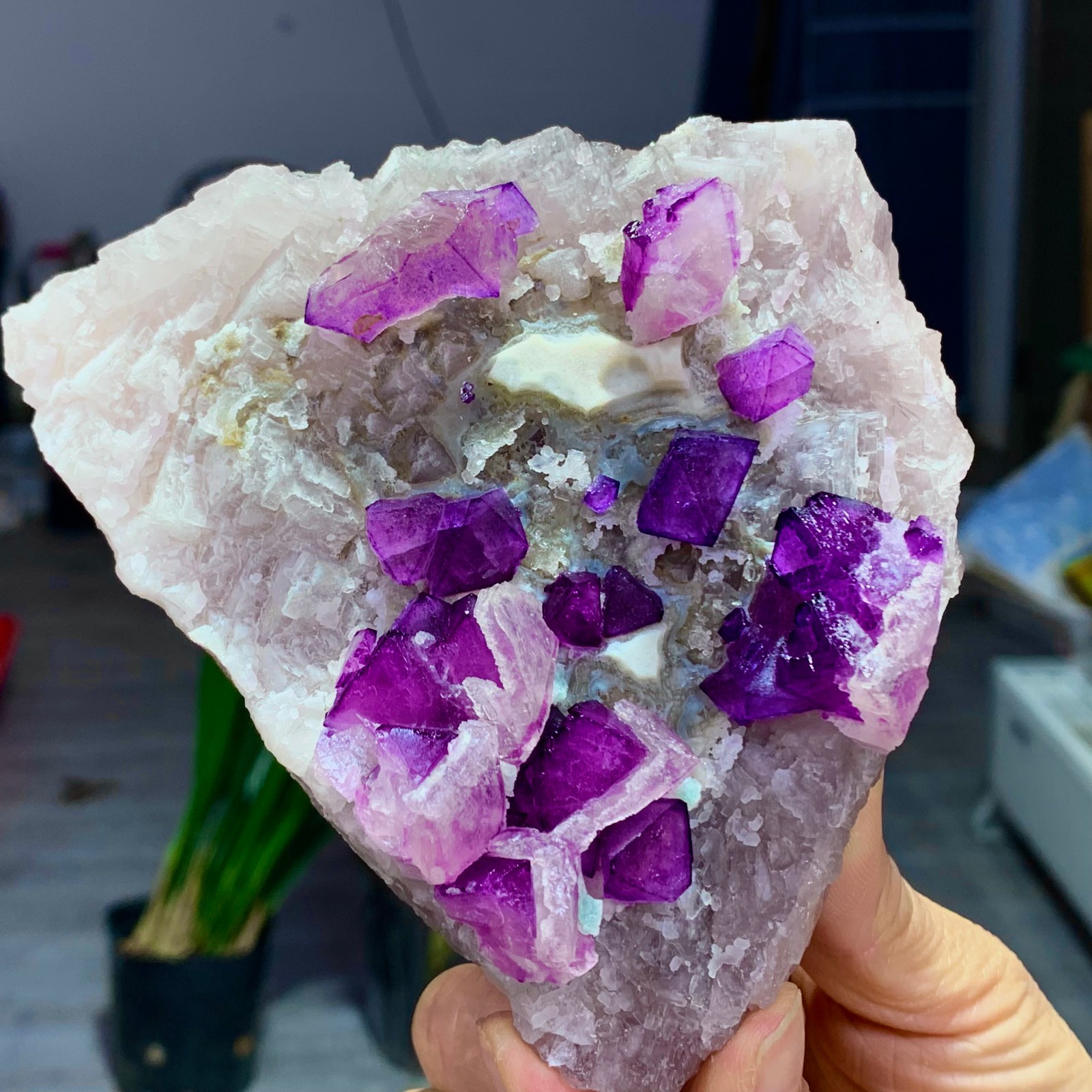 1.76LB Natural purple cubic fluorite mineral crystal sample/China