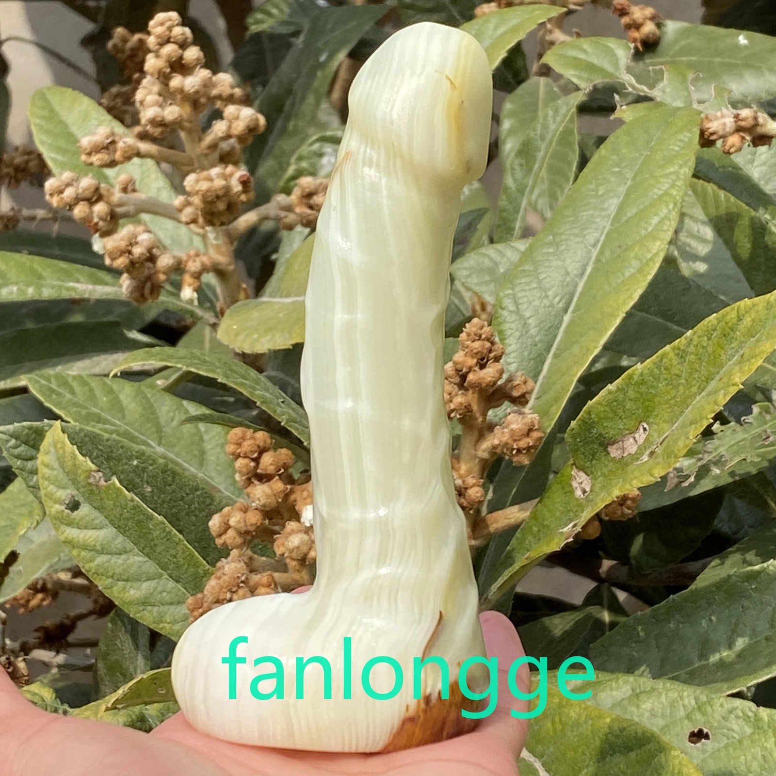 6in Wholesale Natural Afghan jade male penis Quartz Crystal Carved Figurines 1pc