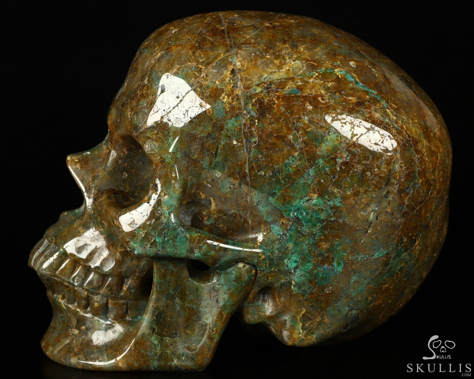 7.0″ Chrysocolla Carved Crystal Skull, Realistic