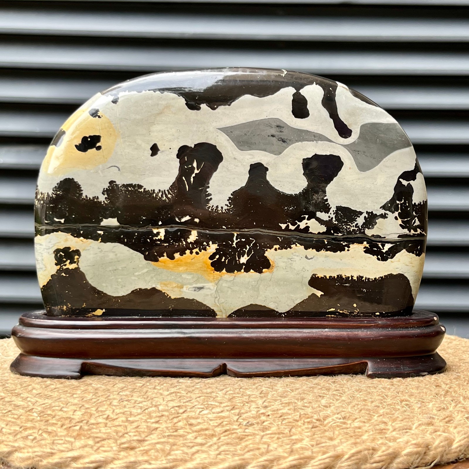 2.5 lb Scenic Stone Natural Pattern Polished Display Art Wood Base