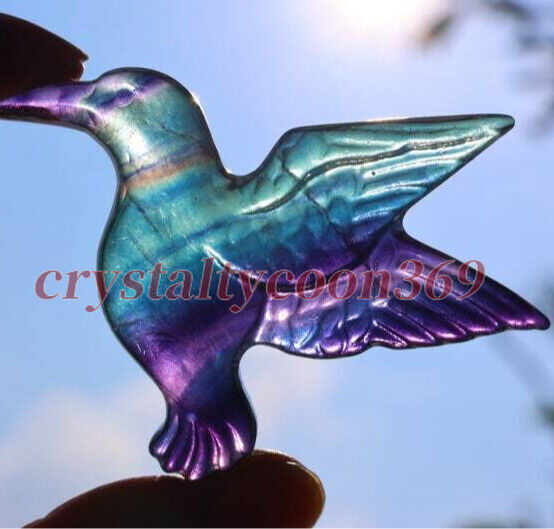2″ Carved Natural Fluorite Humming Bird Reiki Crystal Skull Decor Crystal Gift