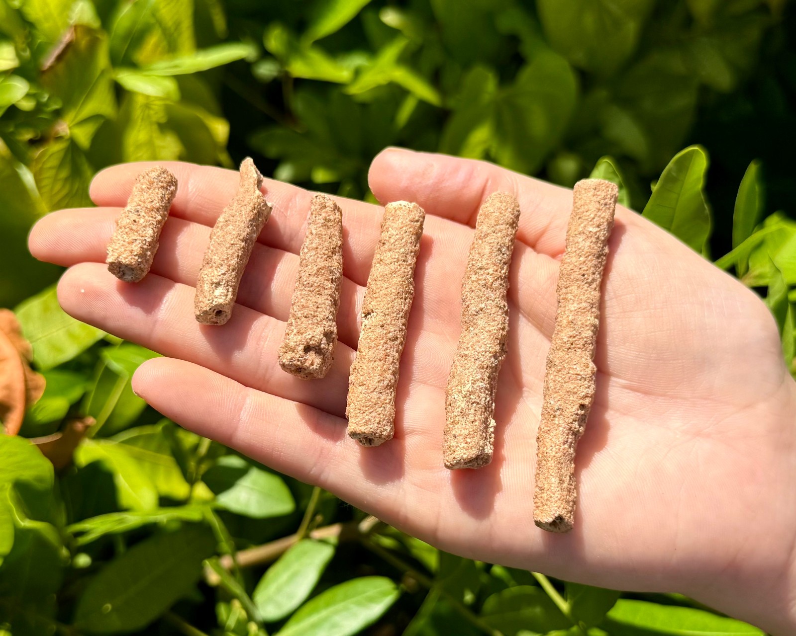 RARE Fulgurite Crystals, Natural Lightning Formed Fulgurite Wholesale Bulk Lots