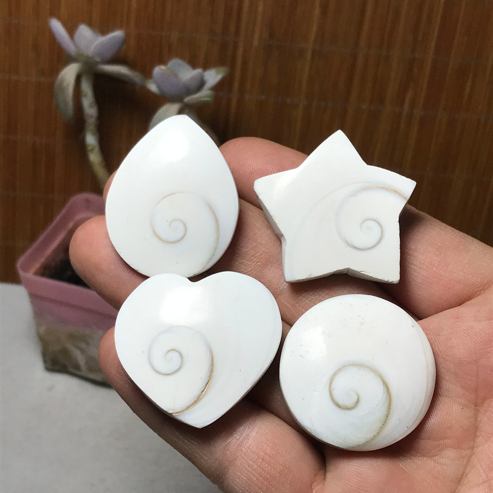 4Pcs Natural sun shell star Heart Reiki Shiva Eye ocean quartz carve A3331