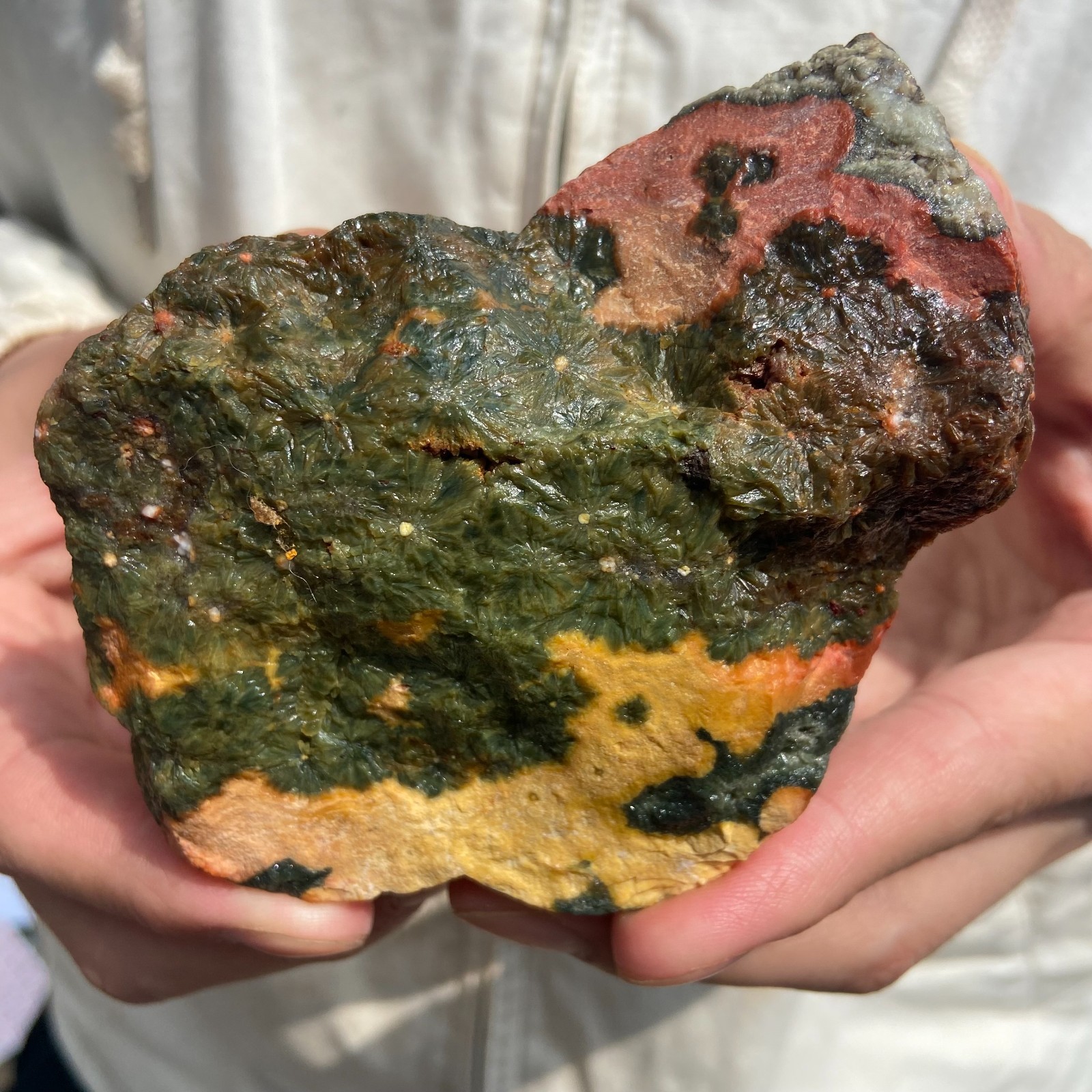 1.3LB Rare Natural Raw Ocean Jasper Rough Quartz Crystal Mineral SpecimeM