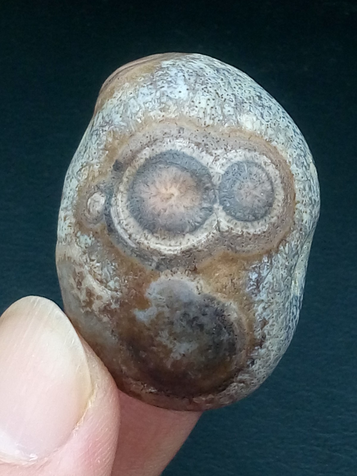 36mm Natural Gobi Agate eye agate collection