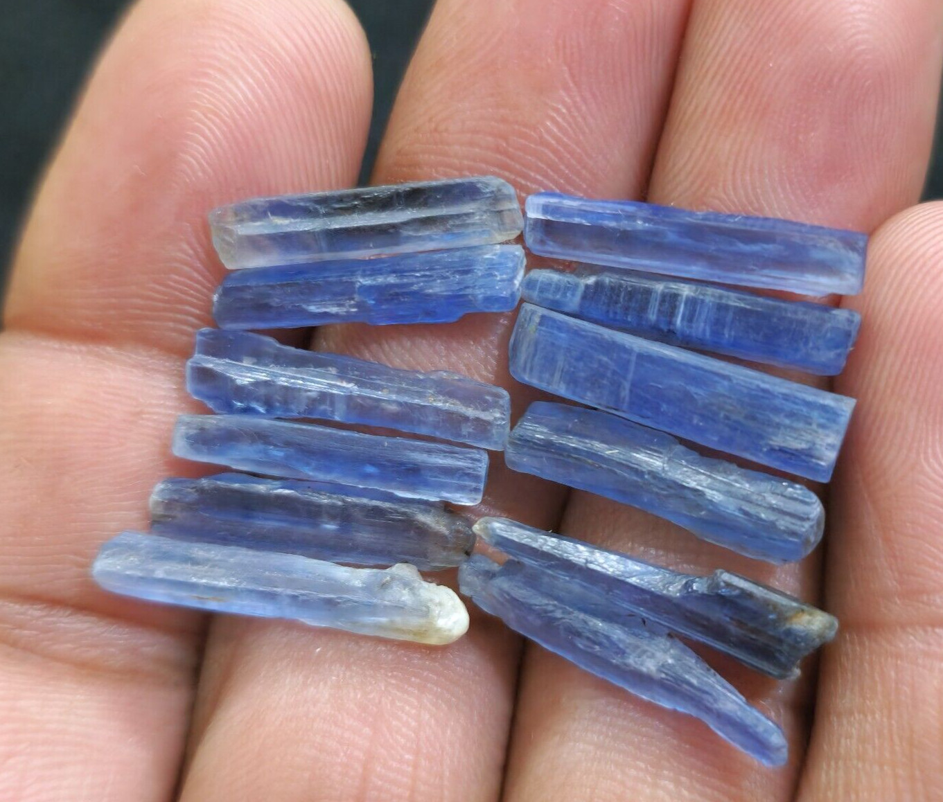 Gorgeous Blue Kyanite Raw Shards 12 Piece Lot Rough 18-20 MM For Jewelry Making