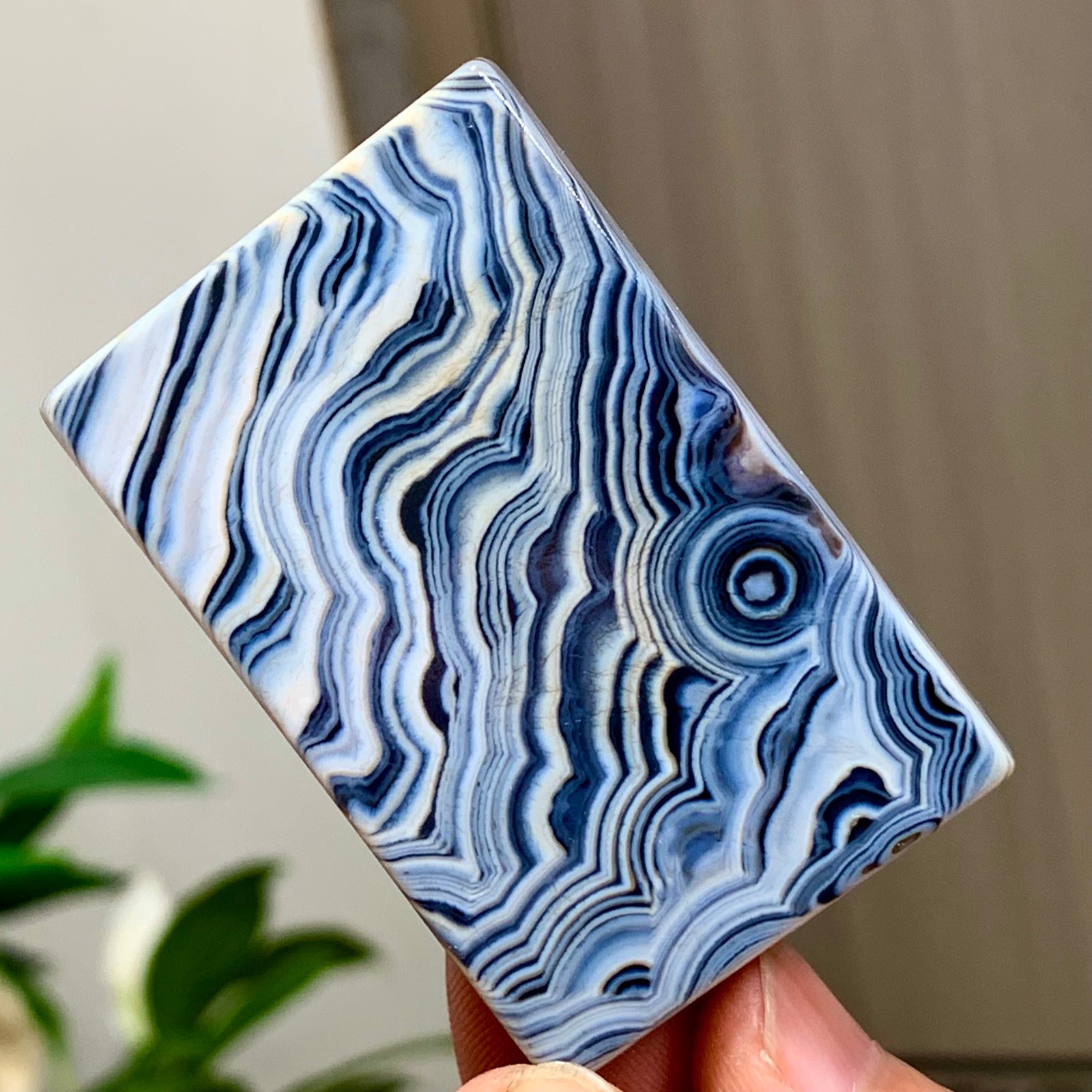 56g Natural Gobi Thousand Eyed Agate tumble palmstone Shape Reiki Chakra Healing